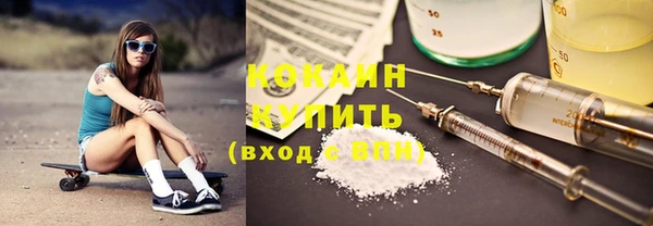 дмт Арсеньев