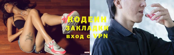 дмт Арсеньев