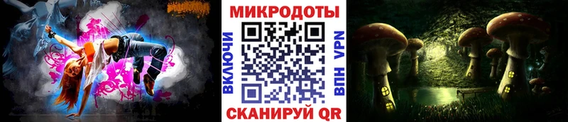 Псилоцибиновые грибы Psilocybine cubensis Светогорск
